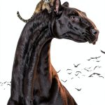 The Named Book 5 Open Road Media Kindle eBook Fantasy Adventure-0